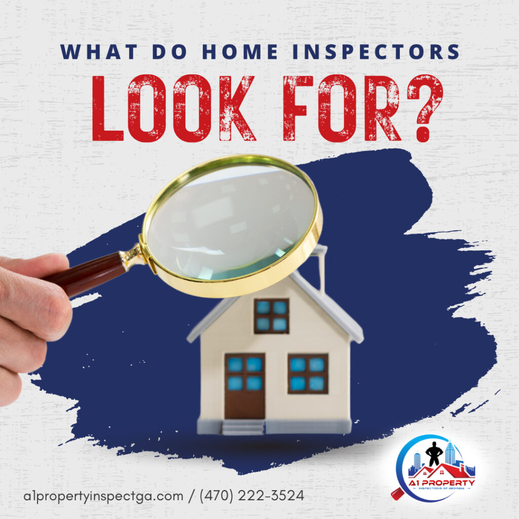 What Do Home Inspectors Look For?